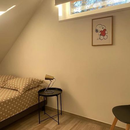 Appartement Dans Une Grange Renovee Strasbourg Eksteriør bilde